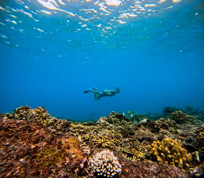 snorkeling in mentawai islands