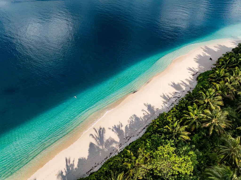 mentawai adventures - shown is a sandy beach with teh clear blue sea and trees from the forrest