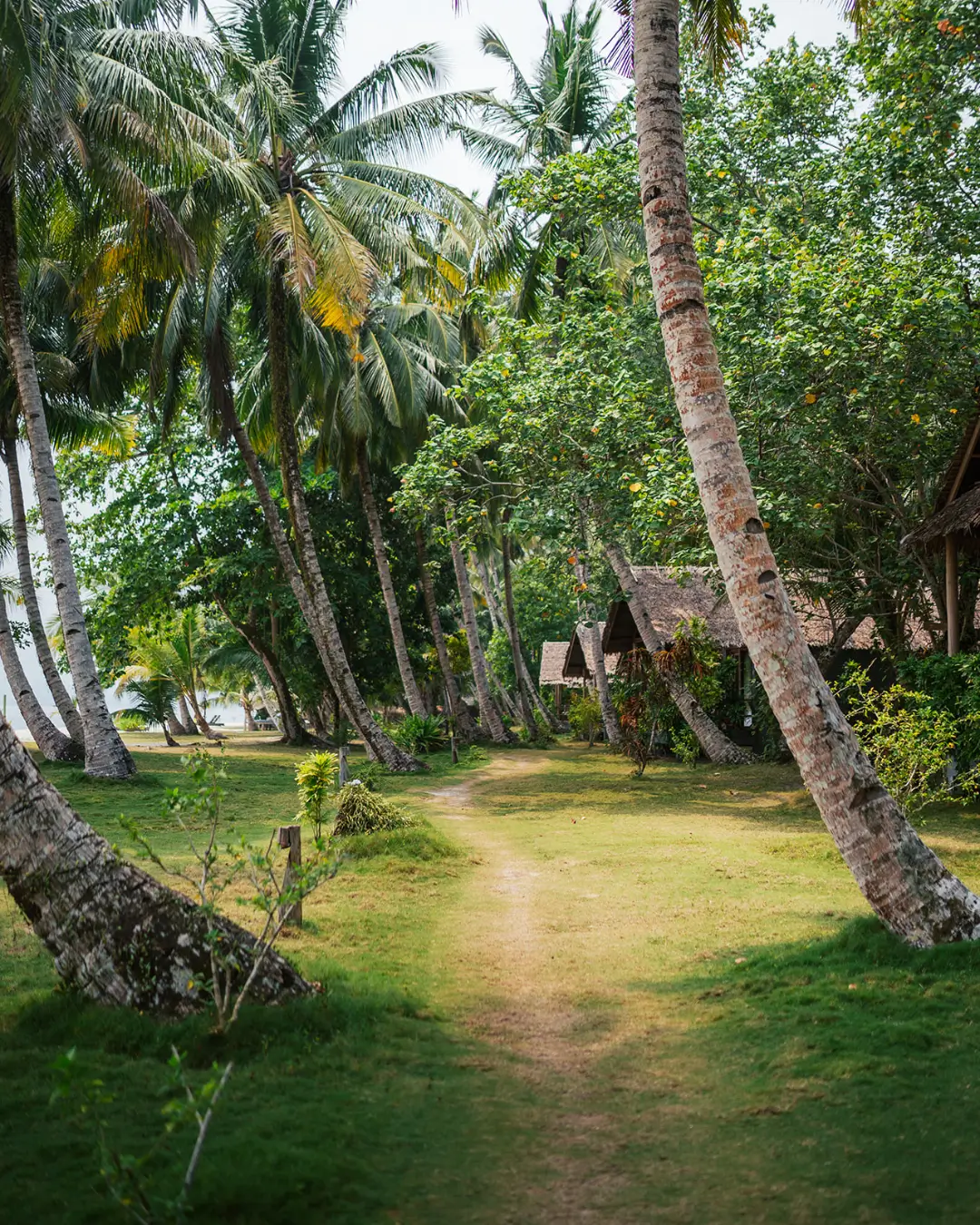 mentawai islands resort - ocean facing villas