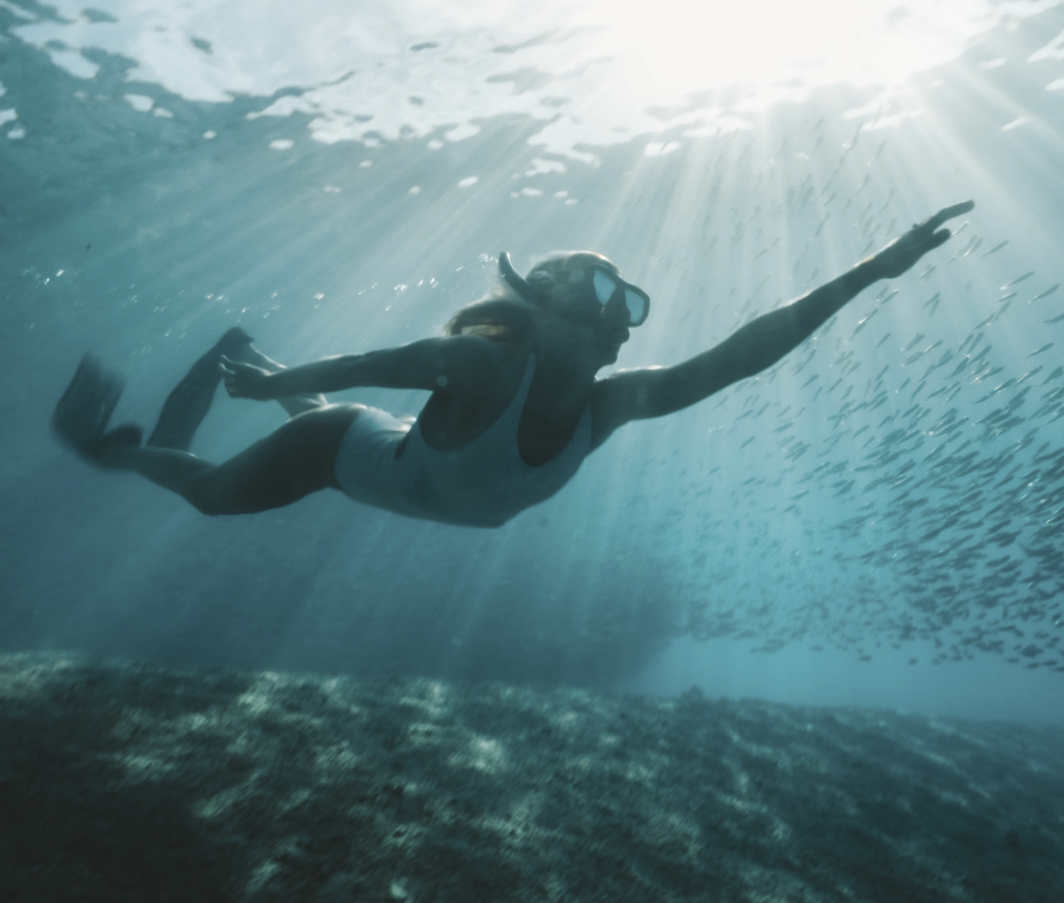 snorkeling in the mentawai islands